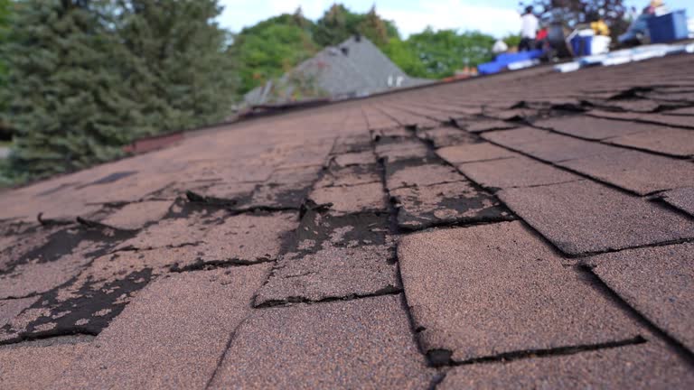 Best Cold Roofs  in Cetronia, PA