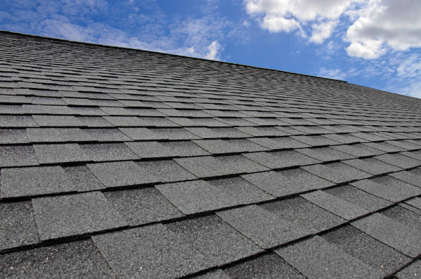 Best Roof Moss and Algae Removal  in Cetronia, PA