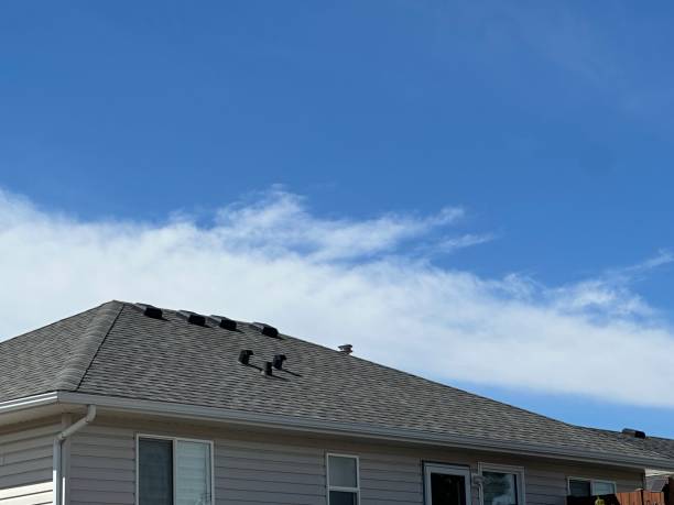 Best Chimney Flashing Repair  in Cetronia, PA